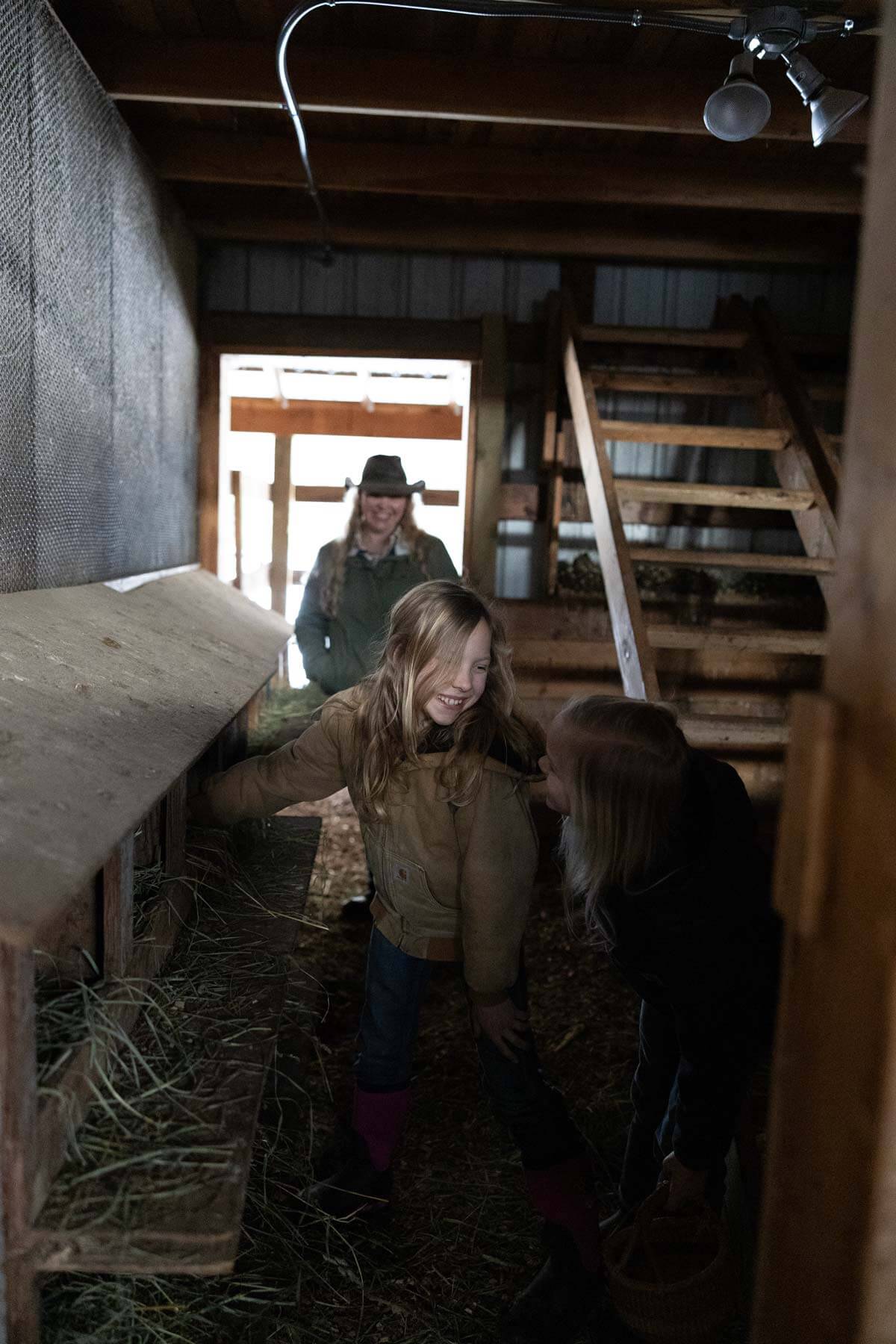 Kids collecting eggs from nesting boxes.