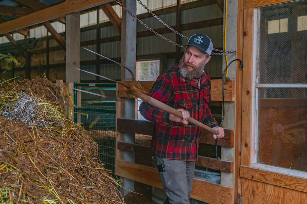 main in a barn moving hay with a pitchfork.