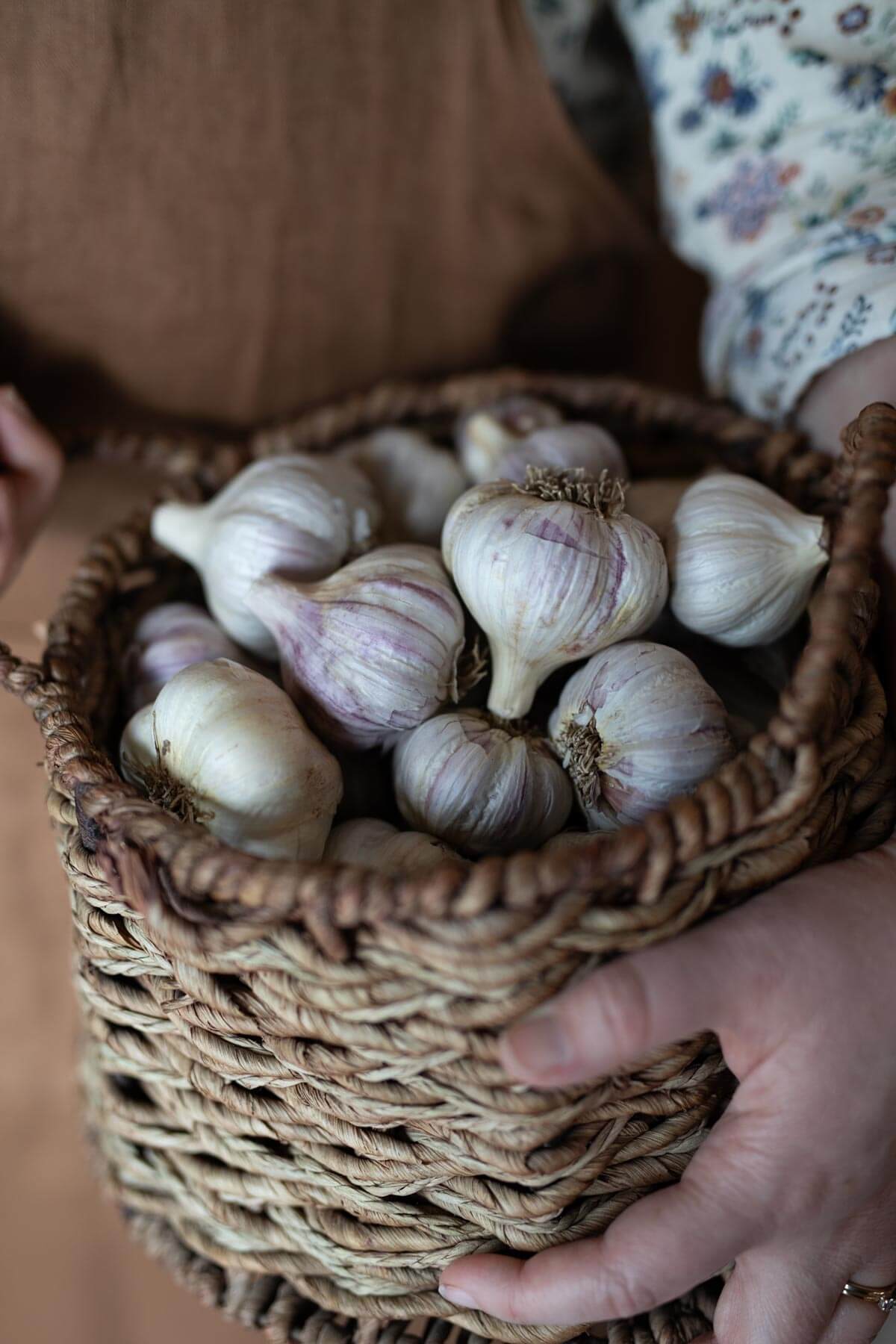 Hands holding a basket of garlic.