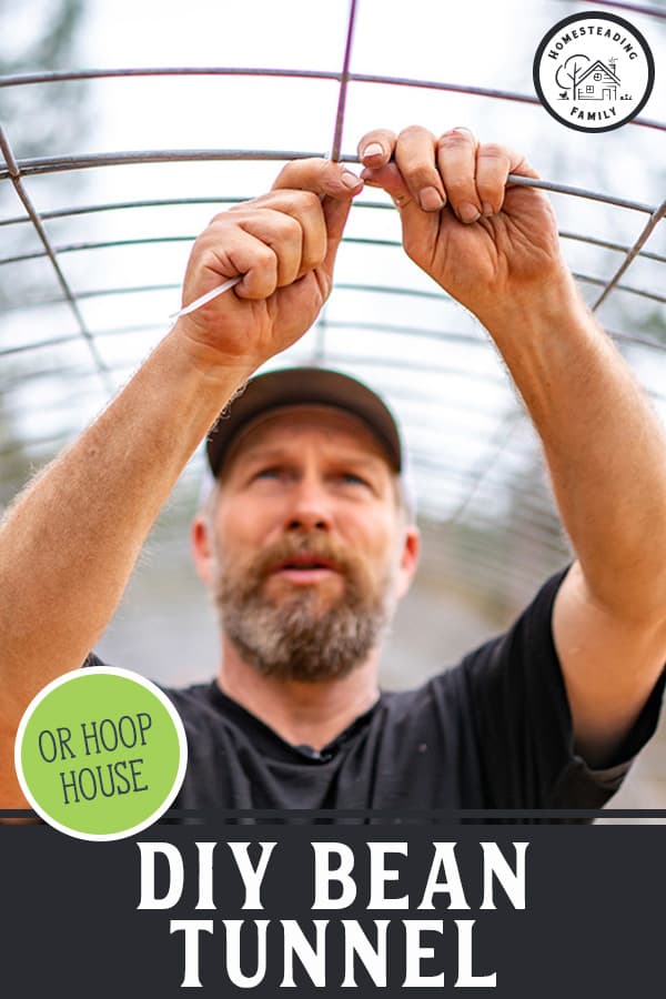 How to Build a DIY Hoop House Greenhouse (Bean Tunnel)