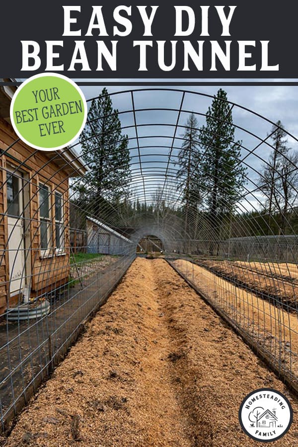 How to Build a DIY Hoop House Greenhouse (Bean Tunnel)