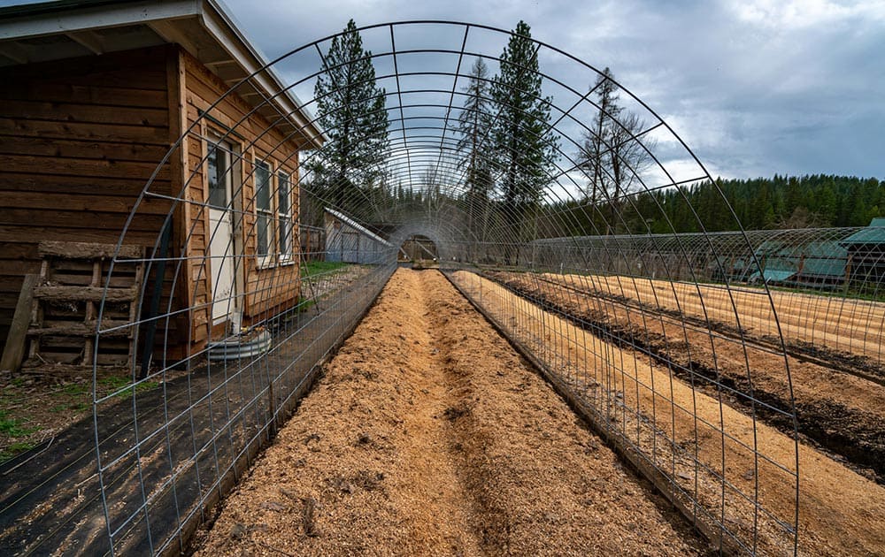 A finished hoop house or bean tunnel with no crops growing on it.