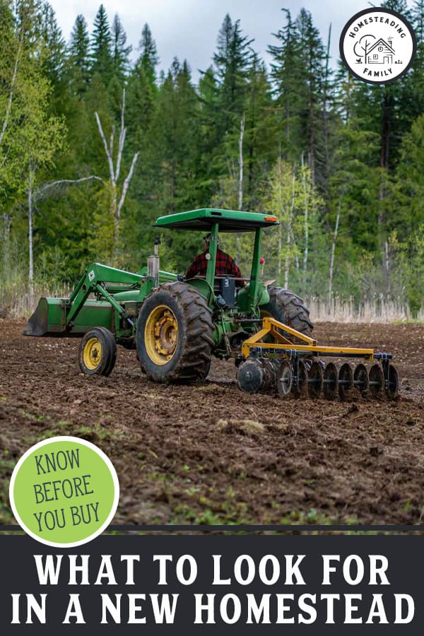 How to Buy a Homestead Property What To Know Before You Buy