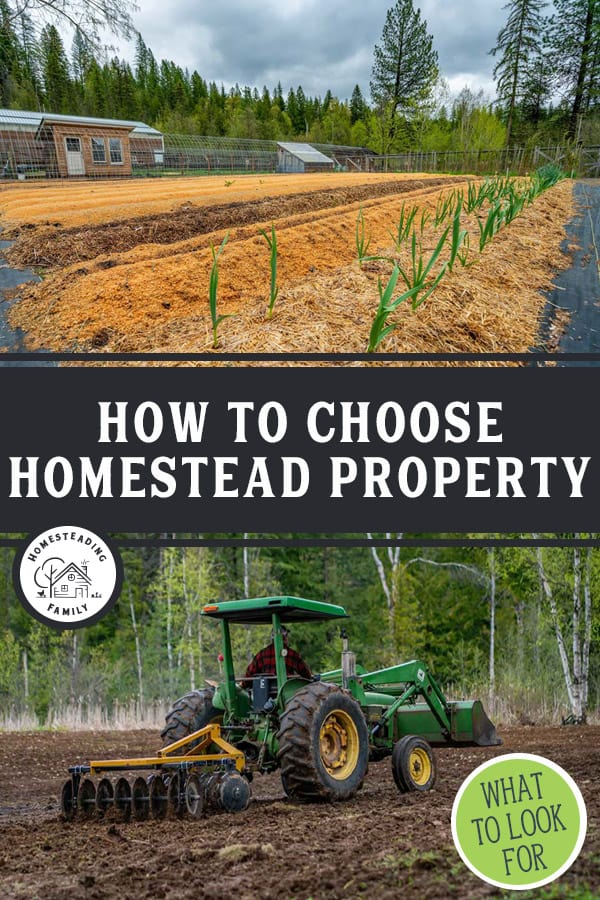 How to Buy a Homestead Property What To Know Before You Buy