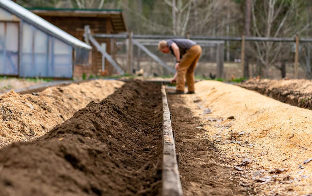 Ein junger Mann hämmert in Betonstahl, um ein Brett gerade im Garten zu halten.