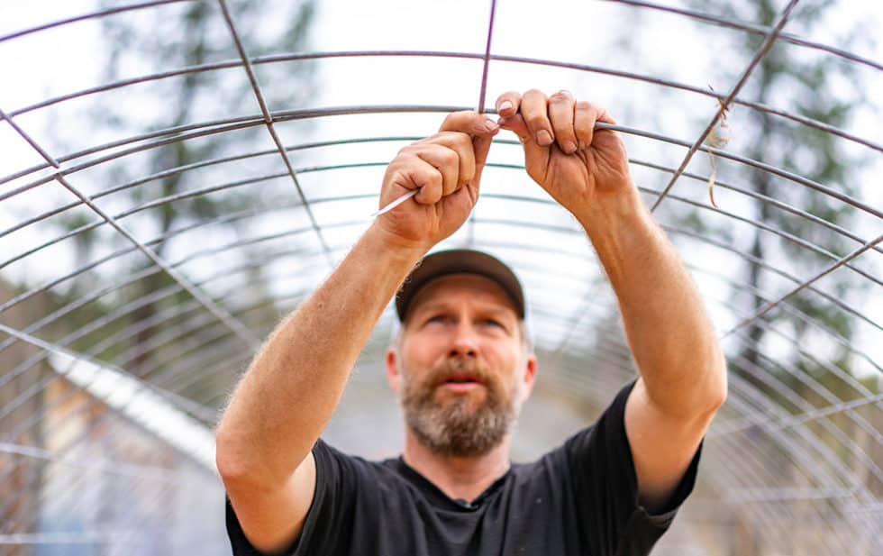 How to Build a DIY Hoop House Greenhouse (Bean Tunnel)
