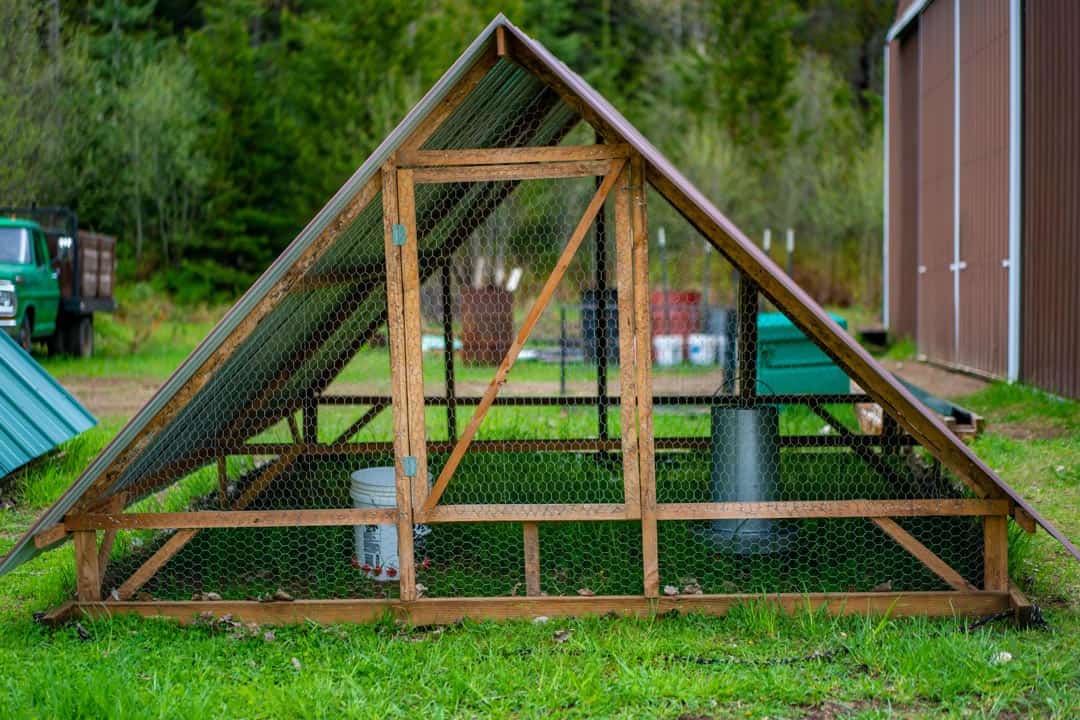 Photo of an a-frame chicken tractor with a feed bucket and watering bucket inside.