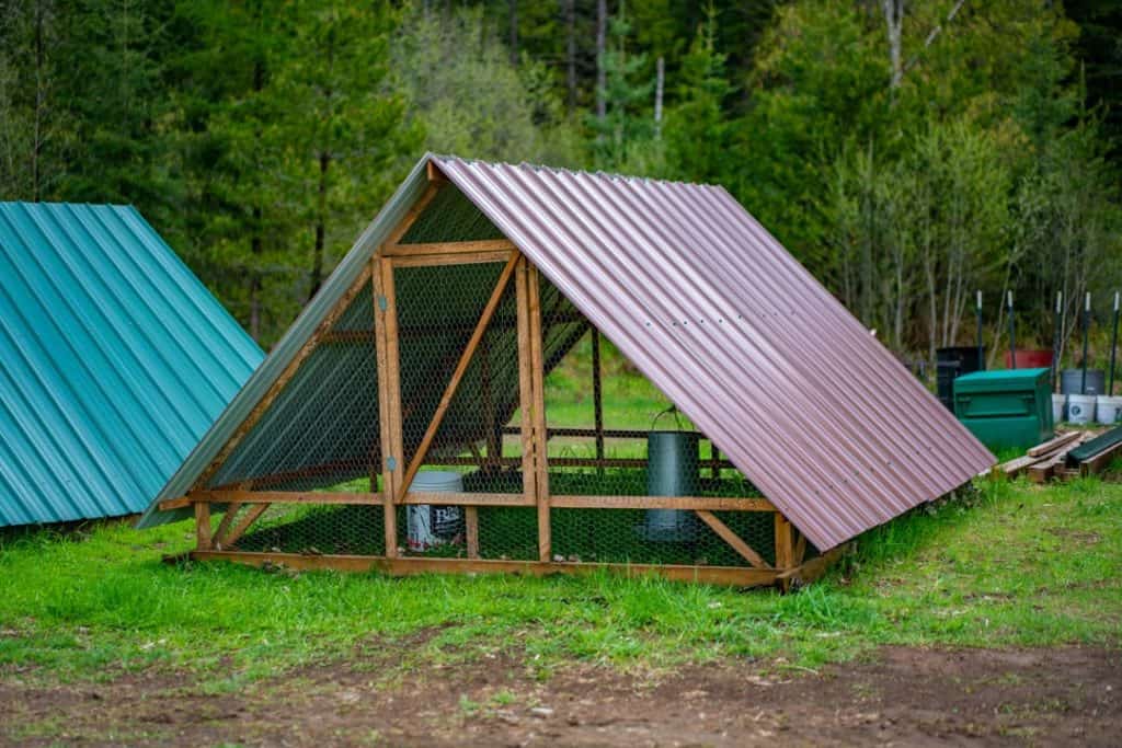 Photo of an a-frame chicken tractor.