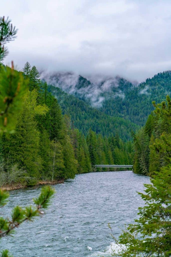 A river between mountains of trees.