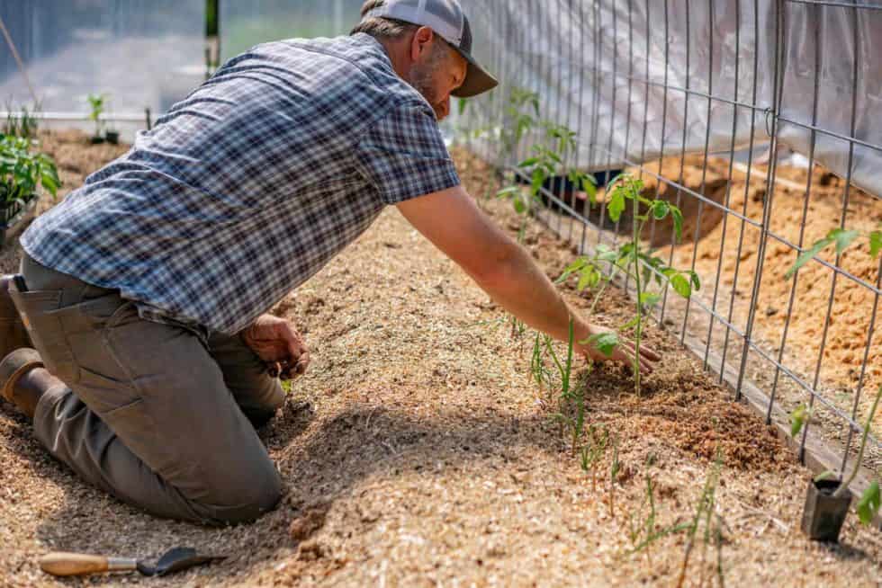 How to Keep Weeds Out of the Garden Managing Weeds