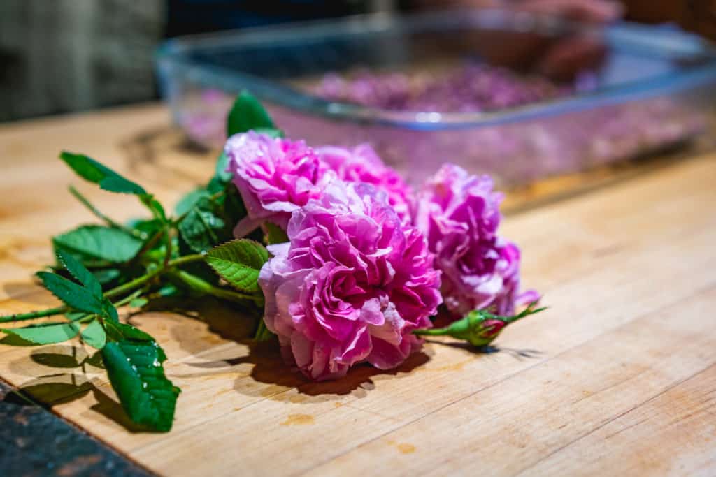 Fresh roses with a tray of dried rose petals in the background.