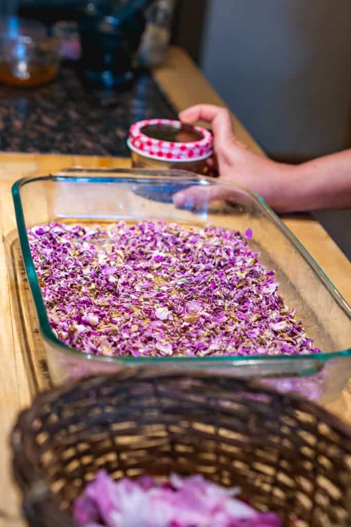 A basket of fresh rose petals and a pan of dried rose petals with a woman's hand holding a jar of ground dried rose petals.