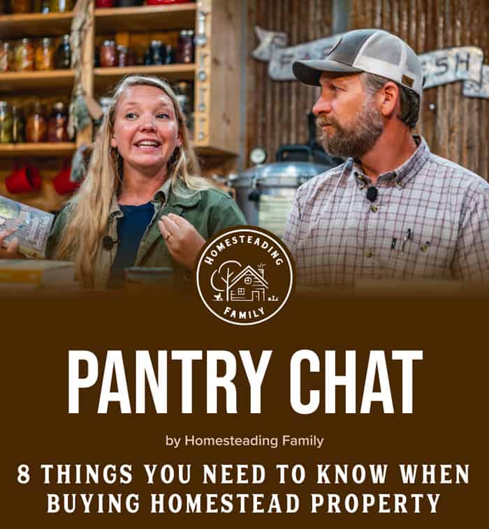 8 Things You Need to Know When Buying Homestead Property — Homesteading ...