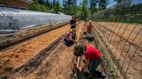 A family planting seeds in a large garden.