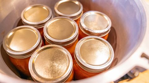 Canning jars sitting inside a pressure canner.