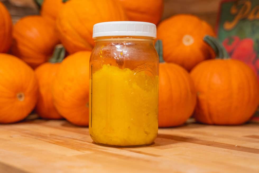 Pressure Canning Pumpkin the Easy Way — Homesteading Family