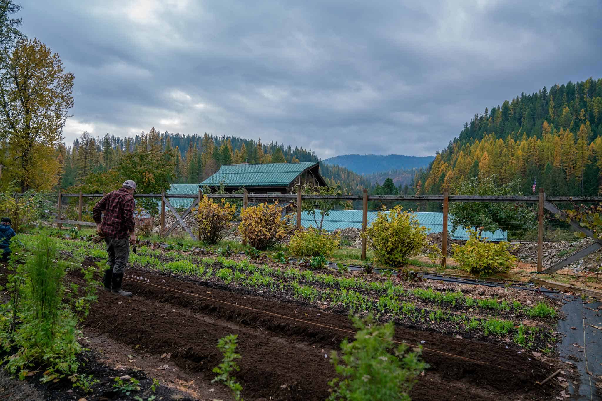 A pulled back shot of a large garden with a man standing in it.