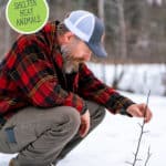 Pinterest pin with an image of a man tending to a small tree sticking up out of the snow.
