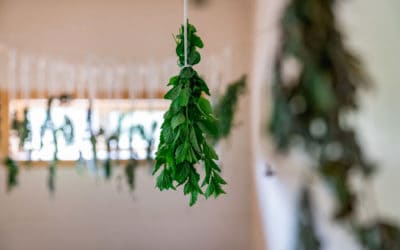 How to Dry Fresh Herbs (Oven, Dehydrator, or Hanging)