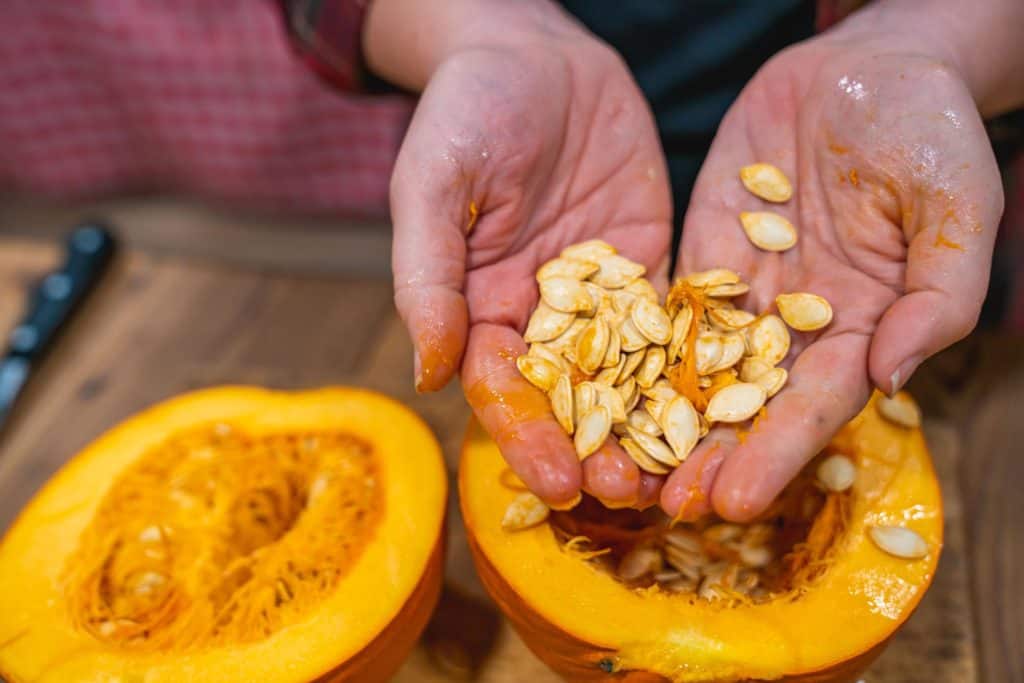 Two hands holding pumpkin seeds over a cut open pumpkin.