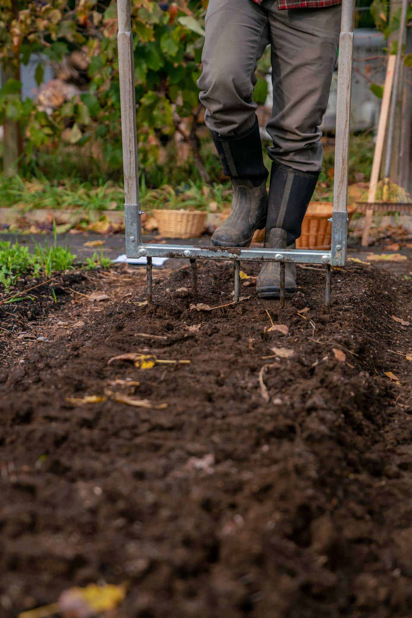 A broadfork loosening garden soil.