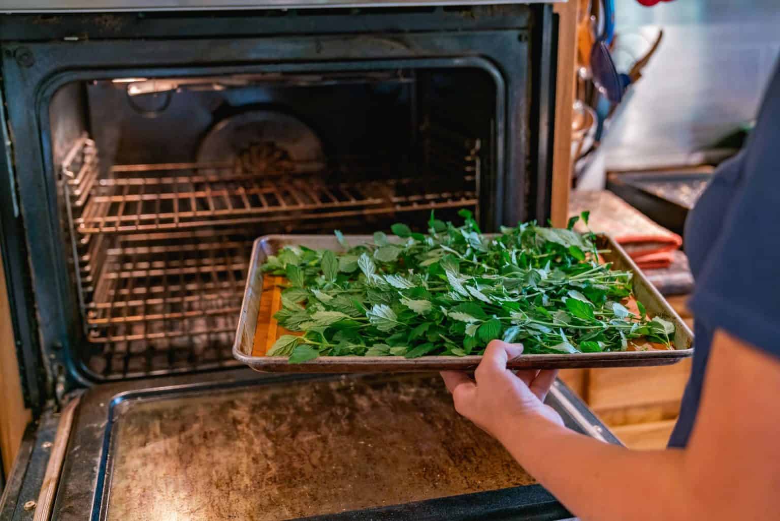 How to Dry Fresh Herbs (Oven, Dehydrator, Or Hanging)