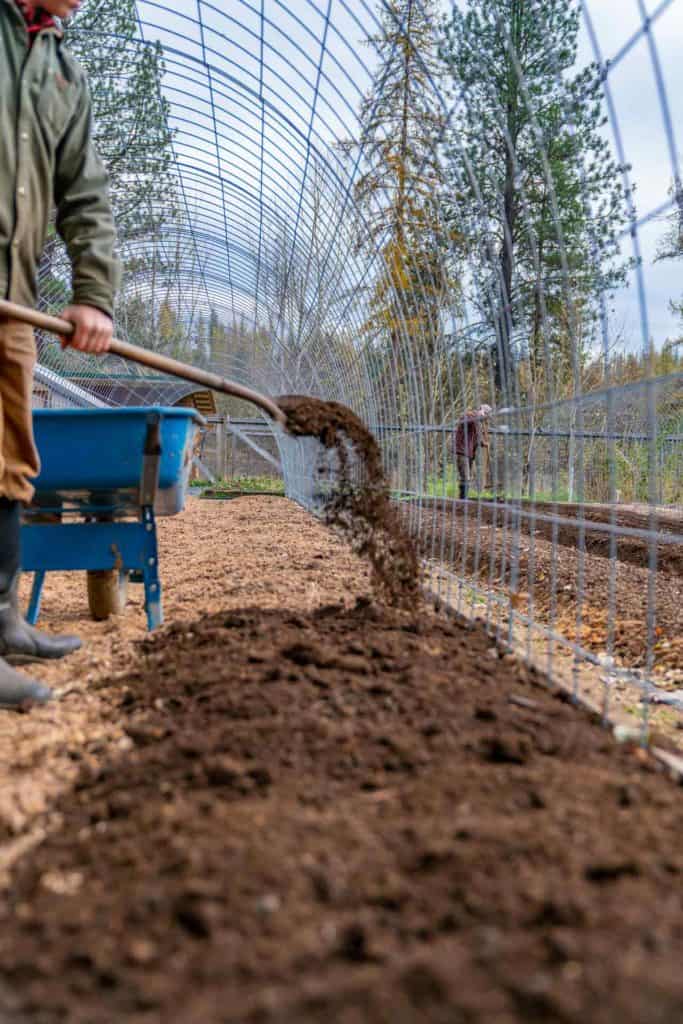 A man shoveling compost onto a garden row.