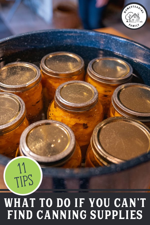 Where to Find Canning Supplies — Homesteading Family