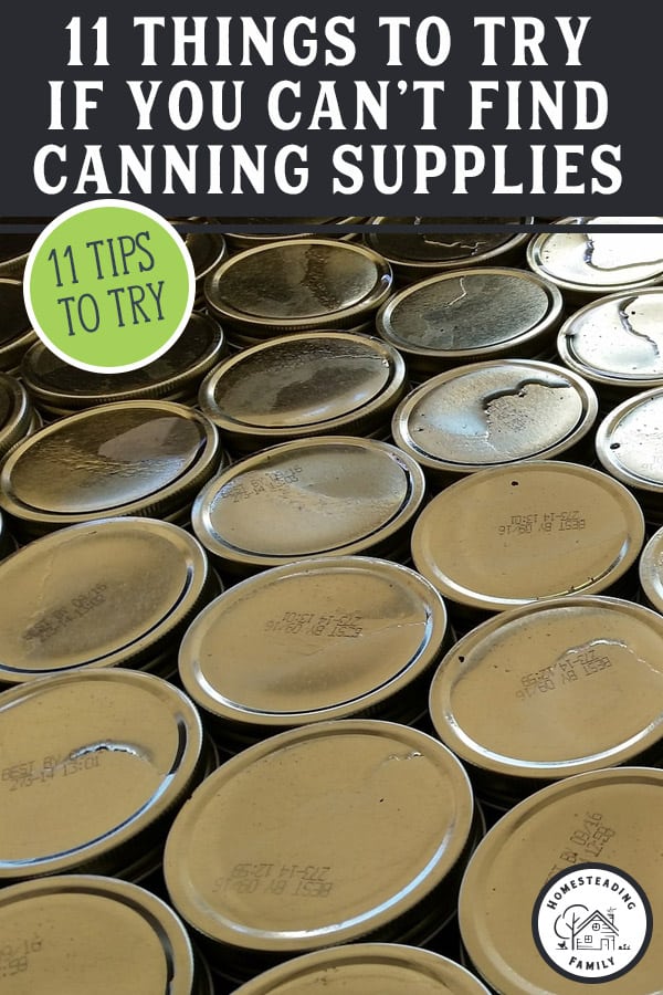 Where to Find Canning Supplies — Homesteading Family