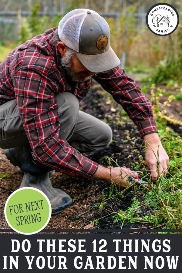 Preparing the Garden for Winter in the Fall