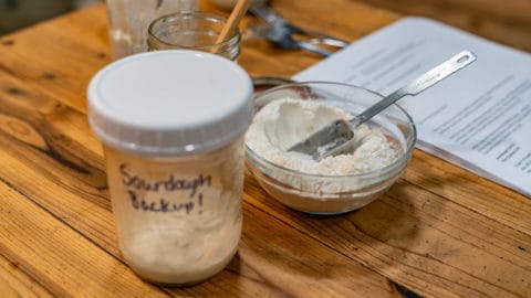 A mason jar labeled "Sourdough Backup" with a bowl of flour and a spoon in the background.
