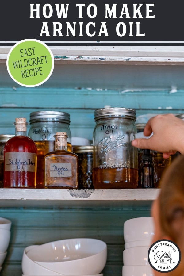 How to Make Homemade Arnica Oil (For OldFashioned Herbal Remedies)