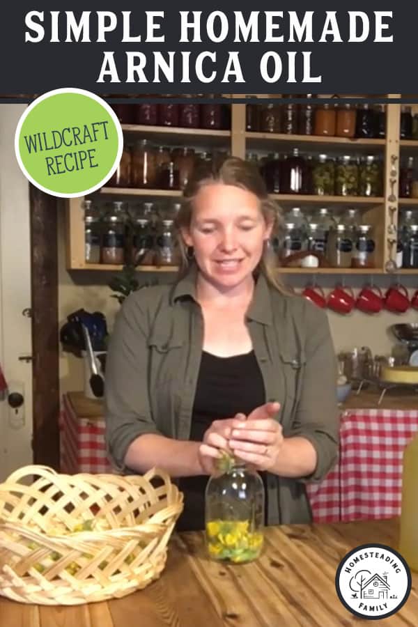 How to Make Homemade Arnica Oil (For OldFashioned Herbal Remedies)