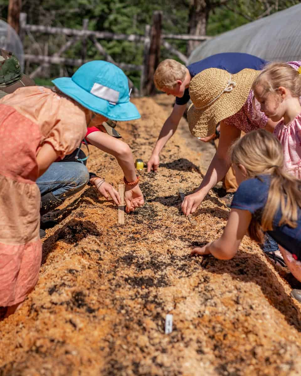 A mother and her children direct sowing seeds into the garden.