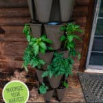 Pinterest pin with an image of a vertical tower planter on a deck.