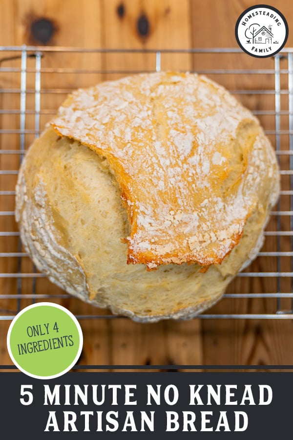 5 Minute No Knead Artisan Bread Just 4 Ingredients