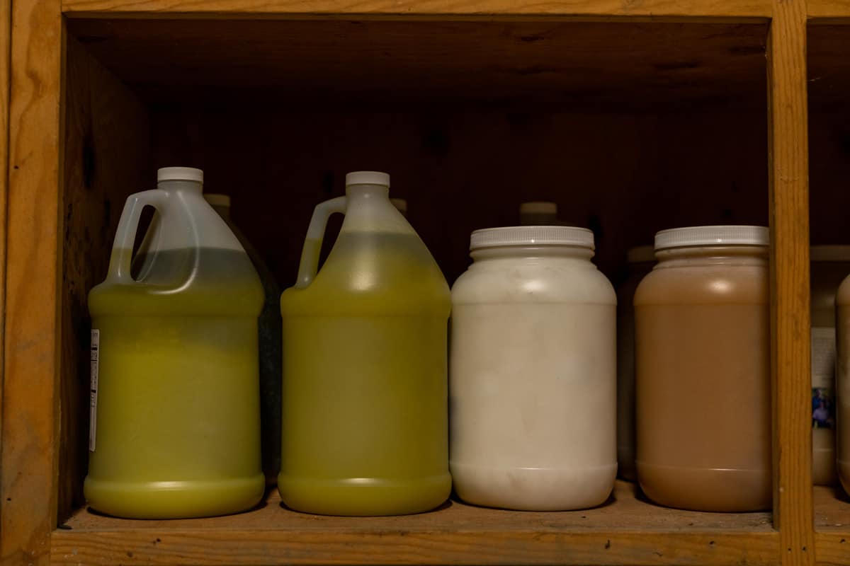 Two gallon jugs of olive oil, a gallon of coconut oil and a gallon of honey on a shelf.