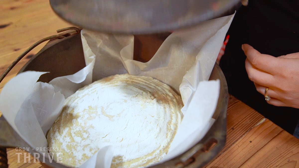 A bread boule being set down into a cast iron dutch oven.