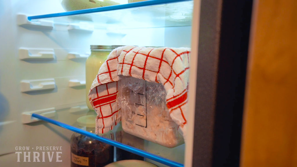 Dough in a container covered with a towel sitting in the refrigerator.