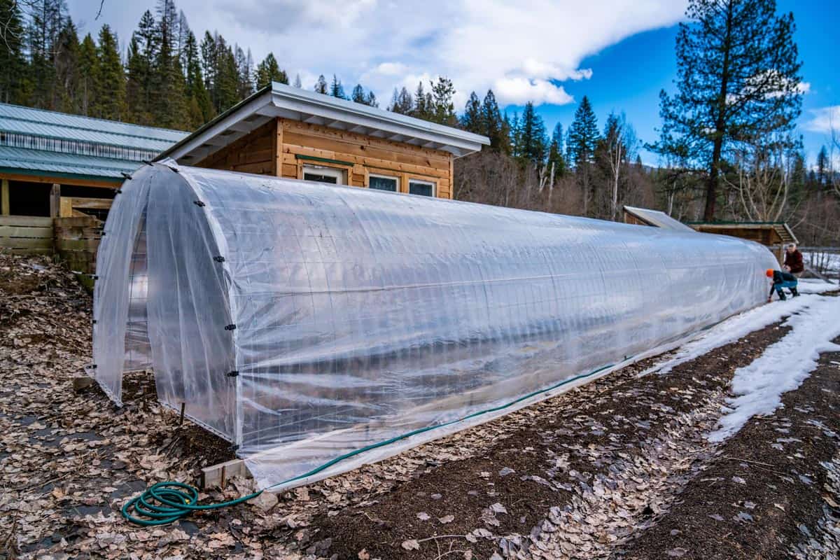 How to Protect a Garden From Frost — Homesteading Family
