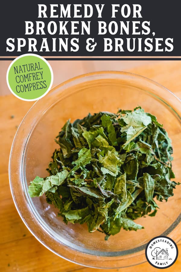 Bone Healing Comfrey Compress — Homesteading Family
