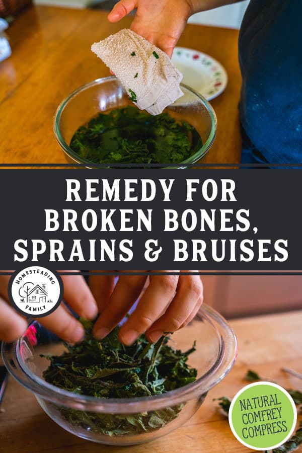 Bone Healing Comfrey Compress — Homesteading Family