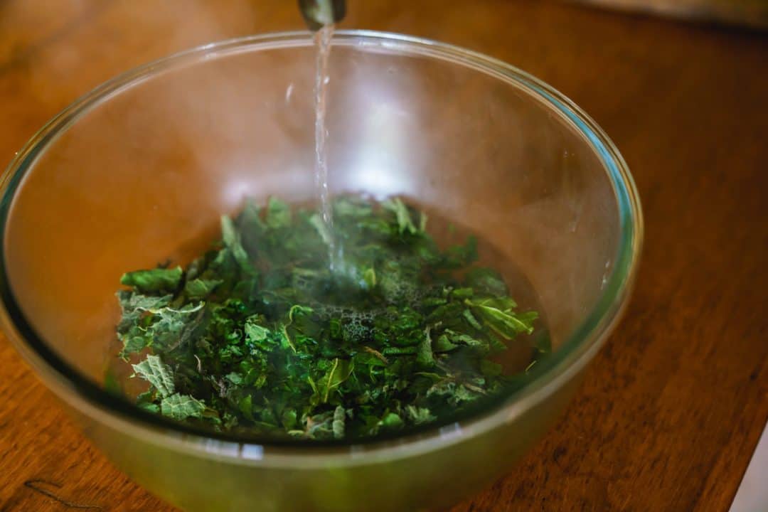 Bone Healing Comfrey Compress — Homesteading Family