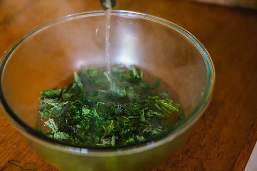 Bone Healing Comfrey Compress — Homesteading Family