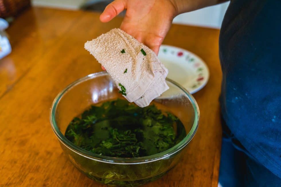 Bone Healing Comfrey Compress — Homesteading Family