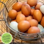 Pinterest pin on how to ferment chicken feed with an image of eggs in a basket.