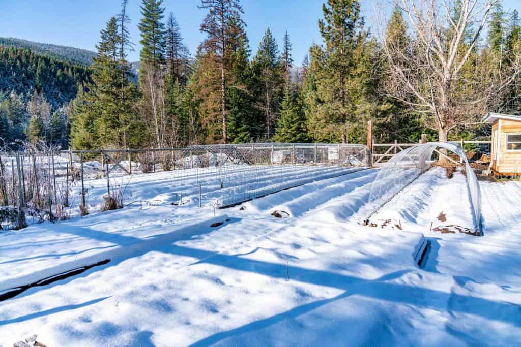 A large garden under snow with trees and mountains in the background.