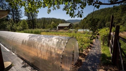 A large garden with a hoop house in the foreground.