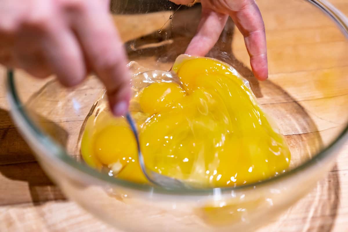 FreezeDried Eggs Everything You Need to Know — Homesteading Family