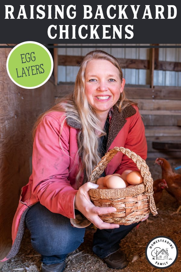 Selecting the Best Chicken Breeds for Your Homestead